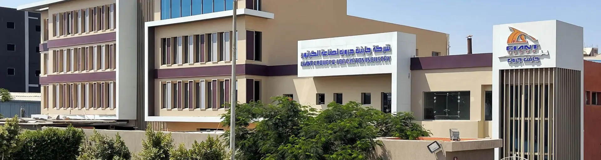 خط إنتاج جاينت جروب للكرتون المضلع